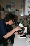 MICROSCOPE 001